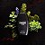 Caixa Tester Drakkar Noir Guy Laroche Eau de Toilette - Perfume Masculino 100ml - Imagem 3