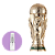 Fracionado World Cup Zakat Parfums Eau de Parfum 5ml - Imagem 1