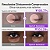 Creme para Olhos No.9 NAD+ Retinol Volumetox Numbuzin 10ml - Imagem 4