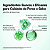 Espuma de Limpeza Heartleaf Quercetinol Pore Deep Anua 150ml - Imagem 4