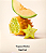 Body Scrub Esfoliante Corporal e Capilar Tropical Melon Starfruit Victoria's Secret 275g - Imagem 2