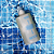 Shampoo Swim Sooo 500ml - Imagem 2