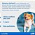 CAPSTAR 11.4MG CAES/GATOS C/1 COMP - Imagem 6