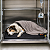 COLCHÃO (TAPETE) TÉRMICO PARA CÃES E GATOS -0,60 X 0,60 EASY - Imagem 6