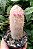 Cacto Cephalocereus Selinis "Cabelo Branco" - Imagem 2