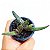 Suculenta Gasteria Carinata Verrucosa - Imagem 1