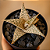 Aloe CV. Moonglow - Imagem 1