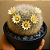 Mammillaria Bocasana Var. Splendens – Bolinha Plumosa de Branco e Encanto - Imagem 1