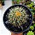 Cacto Echinocactus Grusonii - Imagem 1