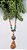 Colar Longo Floresta em Cores. - Imagem 2