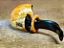 Bent Acorn freehand - Briar - Imagem 3