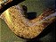 Free Form - Briar - Imagem 6