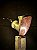 Alien Reverse Calabash - Briar - Imagem 4