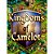 KINGDOMS OF CAMELOT  GEMAS - ESCUTO - GEMS - BEGGINER SHIELD - Imagem 1