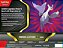 Box Pokémon Coleção Mega Latias Ex Português Envio Rapido - Imagem 2