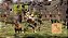 The Chronicles of Narnia: Prince Caspian - PS3 Mídia Física - Imagem 4