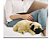 Cachorro De Pelúcia Pug Perfect Petzzz - Imagem 3