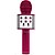 Microfone Star Voice Rosa Zoop Toys - Imagem 2