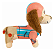 Pelúcia Patrulha Canina Sunny Liberty 30 cm - Imagem 3