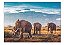 QUEBRA-CABEÇA  COLEÇÃO 100 PEÇAS EM MADEIRA, ANIMAIS DA SAVANA ELEFANTE REF.: 164/1- AQUARELA BRINQUEDOS - Imagem 2