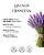 Incenso Cone - Lavanda - 20u - Imagem 3