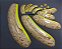 Placas Tribais (jogo completo) - Imagem 6