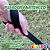 Guia Pet Básica Colorida Luleko - Preta - Imagem 5