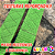 Cinto de Segurança Pet Colorido Luleko - Verde Claro - Imagem 3