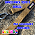 Guia Premium Love My Dog Luleko - Dourada - Imagem 8