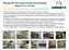 TÊ   Prensar Gás 32X32X32 Multicamada Sferagas Kit com 6 unidades - Imagem 3