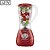 LIQUIDIFICADOR MONDIAL L550R 2VEL  127V VERMELHO - Imagem 1