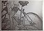 Adriana Banfi - Bicicletas - Imagem 1