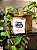 Drip Coffee Box Café - 1 unidade - Imagem 4