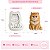 Molde de Silicone Pet Gato Persa MIni - Imagem 1
