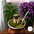 Molde de Silicone Pet Pug Mini - Imagem 3