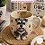 Molde de Silicone Pet Schnauzer - Imagem 3