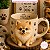 Molde de Silicone Pet Lulu da Pomerânia - Imagem 3