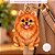 Molde de Silicone Pet Spitz 2 Mini - Imagem 3
