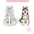 Molde de Silicone Pet Husky Siberiano Mini - Imagem 2