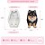 Molde de Silicone Pet Spitz 1 Micro - Imagem 1