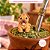 Molde de Silicone Pet Shar Pei Micro - Imagem 3