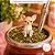 Molde de Silicone Pet Chihuahua Micro - Imagem 3