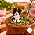 Molde de Silicone Pet Border Collie 1 Micro - Imagem 3