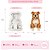 Molde de Silicone Pet Pitbull Micro - Imagem 1