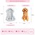 Molde de Silicone Pet Golden 2 G - Imagem 1