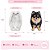 Molde de Silicone Pet Spitz 1 G - Imagem 1