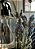 Home Spray - Imagem 3