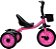 Triciclo Infantil Com Cestinha + Buzina - Rosa -  7628 - Zippy Toys - Imagem 2