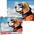 Quebra Cabeça Cachorro Aviador - 150 Pçs - 10766 - Pais e Filhos - Imagem 2