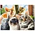 Quebra-cabeça 500 peças Selfie Cats - 4397 - Grow - Imagem 2